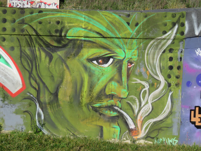 847114 Afbeelding van een graffitikunstwerk op een muur bij de tijdelijke jongerenplek 'Teen Spot' onder het ...